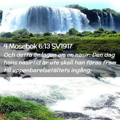 Picture 02 - 4 Mosebok 6:13 SV1917 - Och detta är lagen om en nasir: Den dag hans - Bible Verse Picture