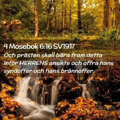 Picture 02 - 4 Mosebok 6:16 SV1917 - Och prästen skall bära fram detta inför - Bible Verse Picture