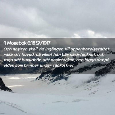 Picture 02 - 4 Mosebok 6:18 SV1917 - Och nasiren skall vid ingången till - Bible Verse Picture