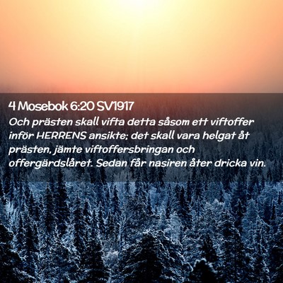 Picture 02 - 4 Mosebok 6:20 SV1917 - Och prästen skall vifta detta såsom ett - Bible Verse Picture
