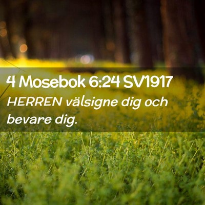 Picture 02 - 4 Mosebok 6:24 SV1917 - HERREN välsigne dig och bevare - Bible Verse Picture