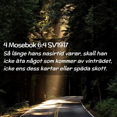 Picture 02 - 4 Mosebok 6:4 SV1917 - Så länge hans nasirtid varar, skall han icke - Bible Verse Picture