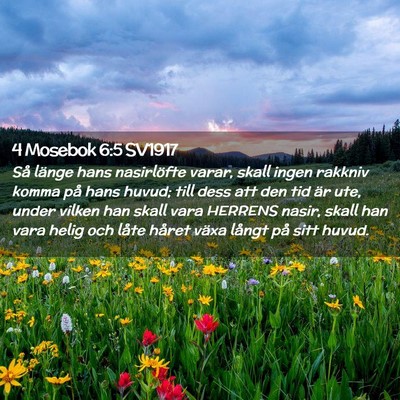 Picture 02 - 4 Mosebok 6:5 SV1917 - Så länge hans nasirlöfte varar, skall ingen - Bible Verse Picture