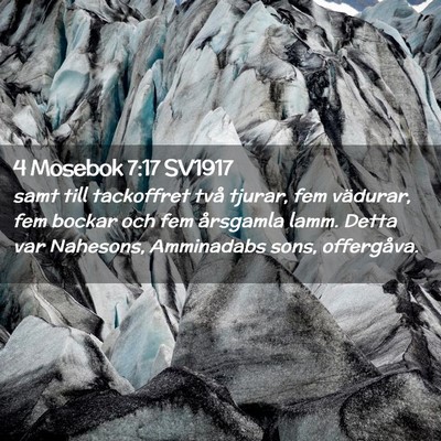 Picture 02 - 4 Mosebok 7:17 SV1917 - samt till tackoffret två tjurar, fem vädurar, - Bible Verse Picture