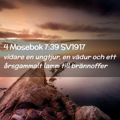Picture 02 - 4 Mosebok 7:39 SV1917 - vidare en ungtjur, en vädur och ett årsgammalt - Bible Verse Picture