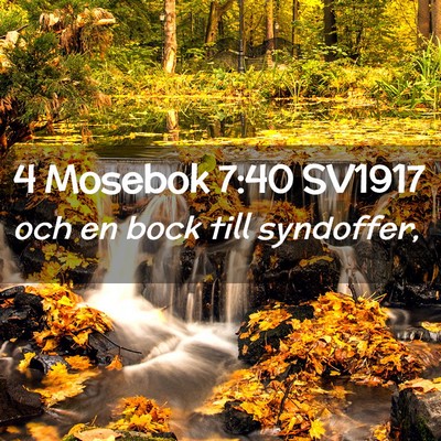 Picture 02 - 4 Mosebok 7:40 SV1917 - och en bock till - Bible Verse Picture