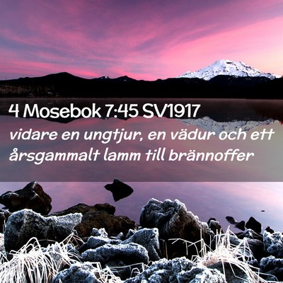 Picture 02 - 4 Mosebok 7:45 SV1917 - vidare en ungtjur, en vädur och ett årsgammalt - Bible Verse Picture