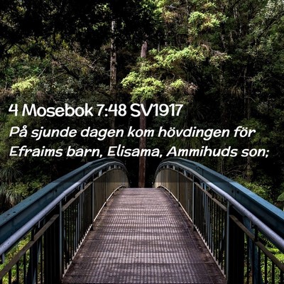 Picture 02 - 4 Mosebok 7:48 SV1917 - På sjunde dagen kom hövdingen för Efraims - Bible Verse Picture