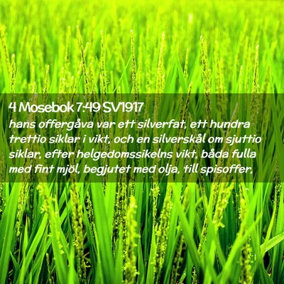Picture 02 - 4 Mosebok 7:49 SV1917 - hans offergåva var ett silverfat, ett hundra - Bible Verse Picture