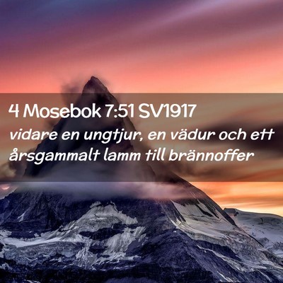 Picture 02 - 4 Mosebok 7:51 SV1917 - vidare en ungtjur, en vädur och ett årsgammalt - Bible Verse Picture