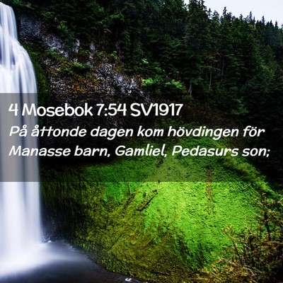 Picture 02 - 4 Mosebok 7:54 SV1917 - På åttonde dagen kom hövdingen för Manasse - Bible Verse Picture