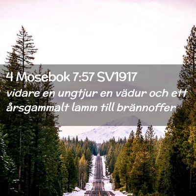 Picture 02 - 4 Mosebok 7:57 SV1917 - vidare en ungtjur en vädur och ett årsgammalt - Bible Verse Picture