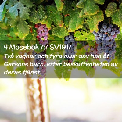 Picture 02 - 4 Mosebok 7:7 SV1917 - Två vagnar och fyra oxar gav han åt Gersons - Bible Verse Picture