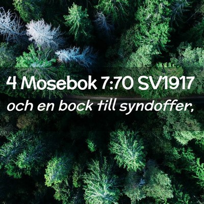 Picture 02 - 4 Mosebok 7:70 SV1917 - och en bock till - Bible Verse Picture