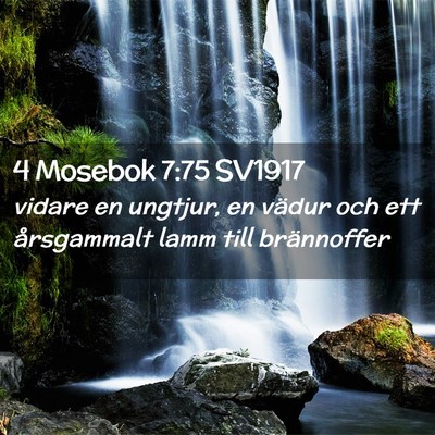 Picture 02 - 4 Mosebok 7:75 SV1917 - vidare en ungtjur, en vädur och ett årsgammalt - Bible Verse Picture