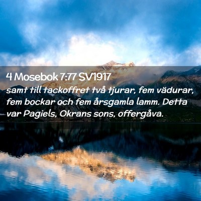 Picture 02 - 4 Mosebok 7:77 SV1917 - samt till tackoffret två tjurar, fem vädurar, - Bible Verse Picture