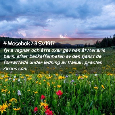 Picture 02 - 4 Mosebok 7:8 SV1917 - fyra vagnar och åtta oxar gav han åt Meraris - Bible Verse Picture