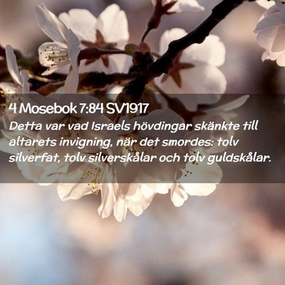 Picture 02 - 4 Mosebok 7:84 SV1917 - Detta var vad Israels hövdingar skänkte till - Bible Verse Picture