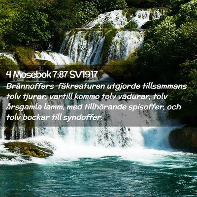 Picture 02 - 4 Mosebok 7:87 SV1917 - Brännoffers-fäkreaturen utgjorde tillsammans - Bible Verse Picture