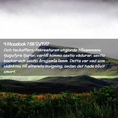 Picture 02 - 4 Mosebok 7:88 SV1917 - Och tackoffers-fäkreaturen utgjorde tillsammans - Bible Verse Picture