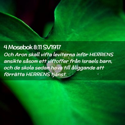 Picture 02 - 4 Mosebok 8:11 SV1917 - Och Aron skall vifta leviterna inför HERRENS - Bible Verse Picture