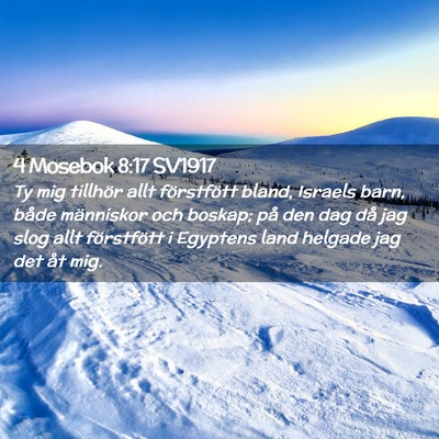 Picture 02 - 4 Mosebok 8:17 SV1917 - Ty mig tillhör allt förstfött bland, Israels - Bible Verse Picture