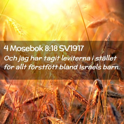 Picture 02 - 4 Mosebok 8:18 SV1917 - Och jag har tagit leviterna i stället för allt - Bible Verse Picture