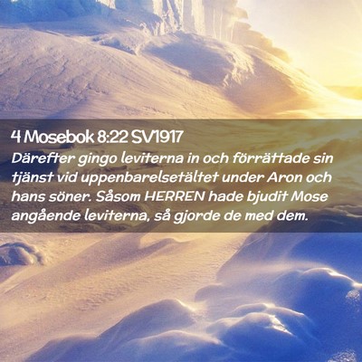Picture 02 - 4 Mosebok 8:22 SV1917 - Därefter gingo leviterna in och förrättade sin - Bible Verse Picture