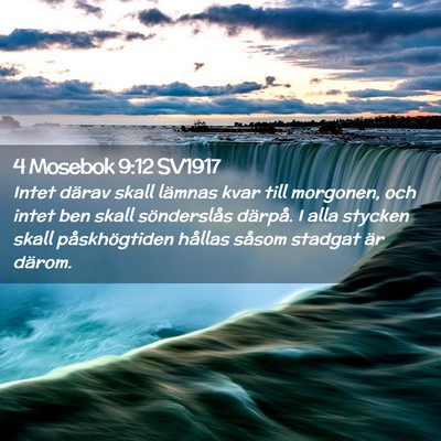 Picture 02 - 4 Mosebok 9:12 SV1917 - Intet därav skall lämnas kvar till morgonen, - Bible Verse Picture