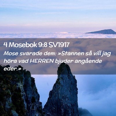Picture 02 - 4 Mosebok 9:8 SV1917 - Mose svarade dem: »Stannen så vill jag höra - Bible Verse Picture
