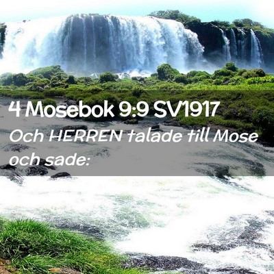 Picture 02 - 4 Mosebok 9:9 SV1917 - Och HERREN talade till Mose och - Bible Verse Picture