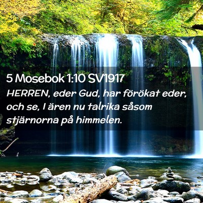 Picture 02 - 5 Mosebok 1:10 SV1917 - HERREN, eder Gud, har förökat eder, och se, I - Bible Verse Picture