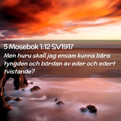 Picture 02 - 5 Mosebok 1:12 SV1917 - Men huru skall jag ensam kunna bära tyngden och - Bible Verse Picture