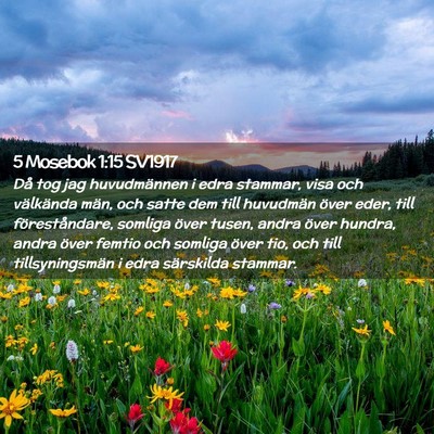 Picture 02 - 5 Mosebok 1:15 SV1917 - Då tog jag huvudmännen i edra stammar, visa och - Bible Verse Picture