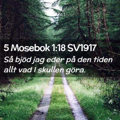 Picture 02 - 5 Mosebok 1:18 SV1917 - Så bjöd jag eder på den tiden allt vad I - Bible Verse Picture