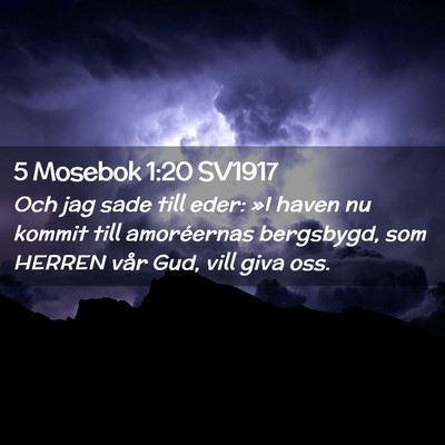 Picture 02 - 5 Mosebok 1:20 SV1917 - Och jag sade till eder: »I haven nu kommit till - Bible Verse Picture