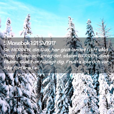 Picture 02 - 5 Mosebok 1:21 SV1917 - Se, HERREN, din Gud, har givit landet i ditt - Bible Verse Picture