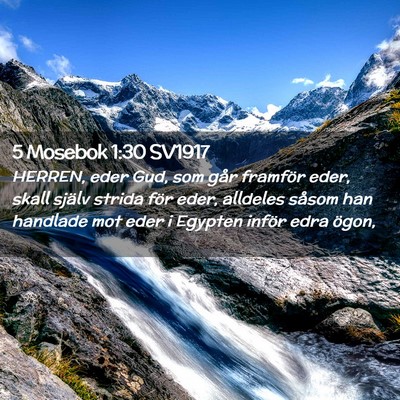 Picture 02 - 5 Mosebok 1:30 SV1917 - HERREN, eder Gud, som går framför eder, skall - Bible Verse Picture