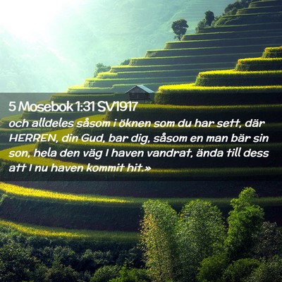Picture 02 - 5 Mosebok 1:31 SV1917 - och alldeles såsom i öknen som du har sett, - Bible Verse Picture
