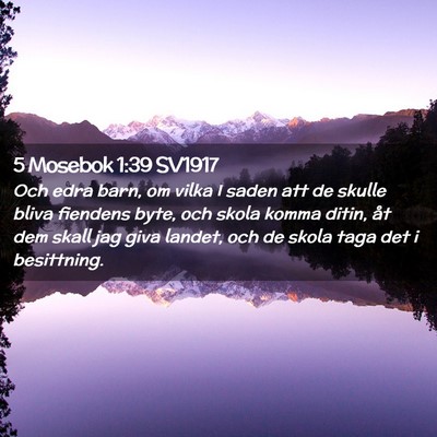 Picture 02 - 5 Mosebok 1:39 SV1917 - Och edra barn, om vilka I saden att de skulle - Bible Verse Picture