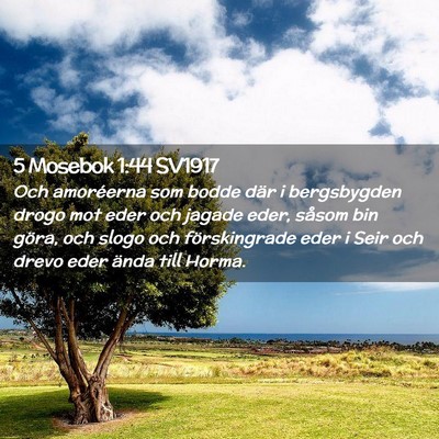 Picture 02 - 5 Mosebok 1:44 SV1917 - Och amoréerna som bodde där i bergsbygden drogo - Bible Verse Picture