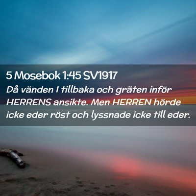 Picture 02 - 5 Mosebok 1:45 SV1917 - Då vänden I tillbaka och gräten inför HERRENS - Bible Verse Picture
