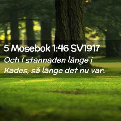 Picture 02 - 5 Mosebok 1:46 SV1917 - Och I stannaden länge i Kades, så länge det nu - Bible Verse Picture