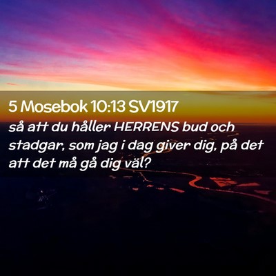 Picture 02 - 5 Mosebok 10:13 SV1917 - så att du håller HERRENS bud och stadgar, som - Bible Verse Picture