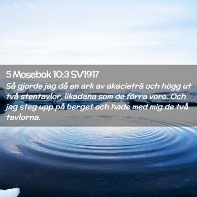 Picture 02 - 5 Mosebok 10:3 SV1917 - Så gjorde jag då en ark av akacieträ och högg - Bible Verse Picture