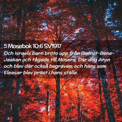 Picture 02 - 5 Mosebok 10:6 SV1917 - Och Israels barn bröto upp från - Bible Verse Picture