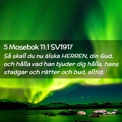 Picture 02 - 5 Mosebok 11:1 SV1917 - Så skall du nu älska HERREN, din Gud, och - Bible Verse Picture
