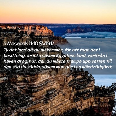Picture 02 - 5 Mosebok 11:10 SV1917 - Ty det land dit du nu kommer, för att taga det i - Bible Verse Picture