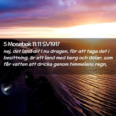 Picture 02 - 5 Mosebok 11:11 SV1917 - nej, det land dit I nu dragen, för att taga det - Bible Verse Picture