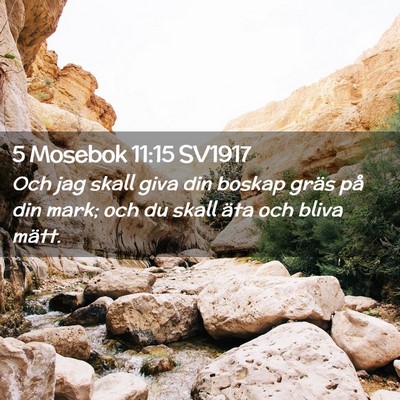 Picture 02 - 5 Mosebok 11:15 SV1917 - Och jag skall giva din boskap gräs på din mark; - Bible Verse Picture